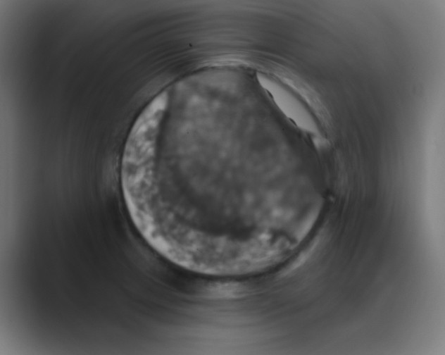 X0000088471233200706191342