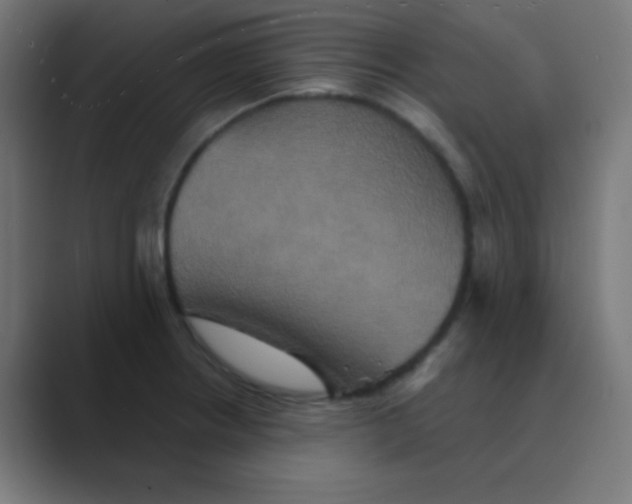 X0000088471234200706191342