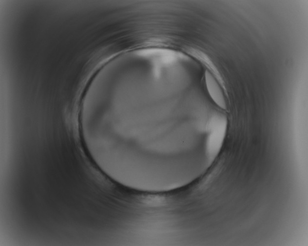 X0000088471235200706191342