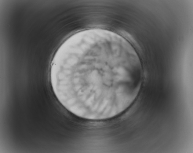 X0000088471236200706191342