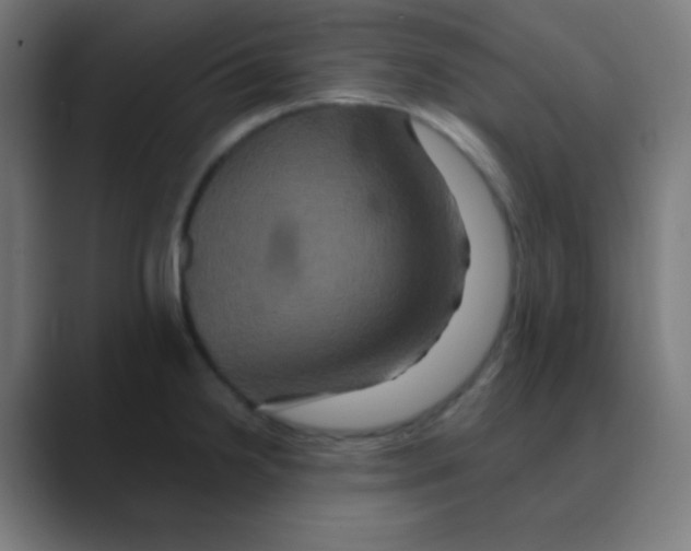 X0000088471238200706191342