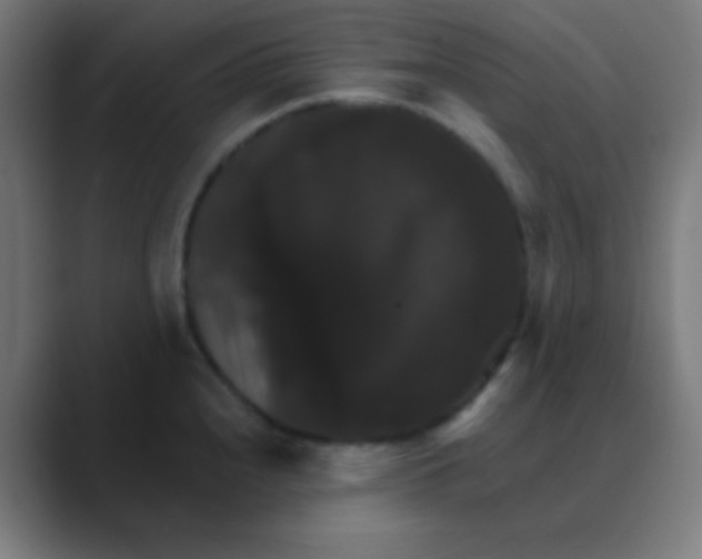 X0000088471240200706191342