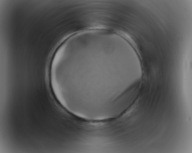 X0000088471243200706191342