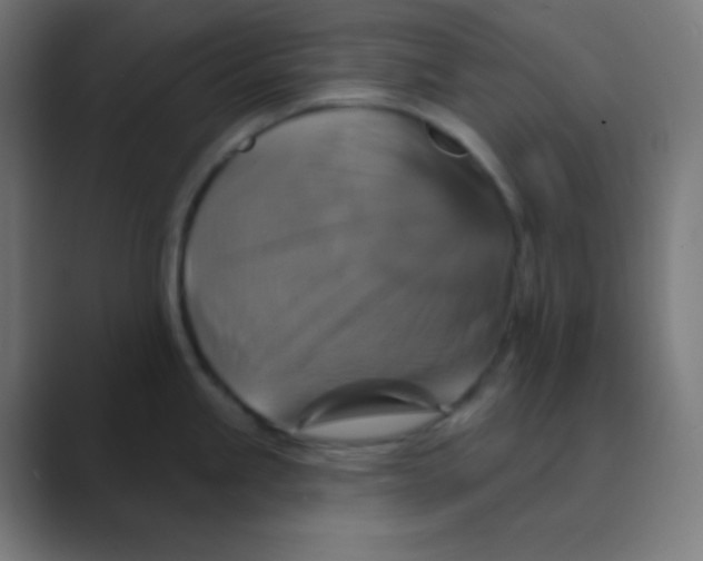 X0000088471245200706191342