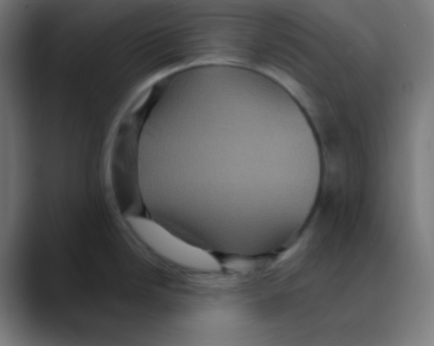 X0000088471246200706191342