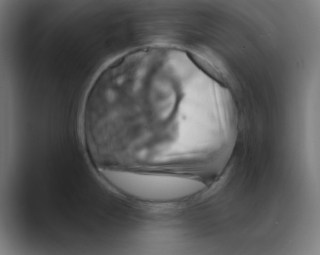 X0000088471247200706191342