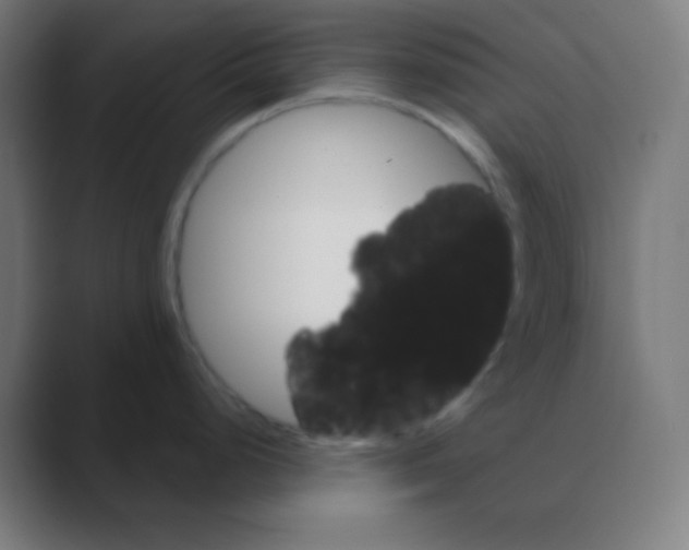 X0000088471248200706191342