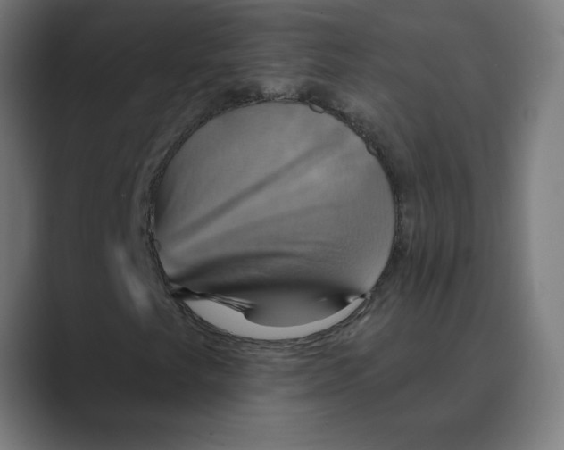 X0000088471249200706191341