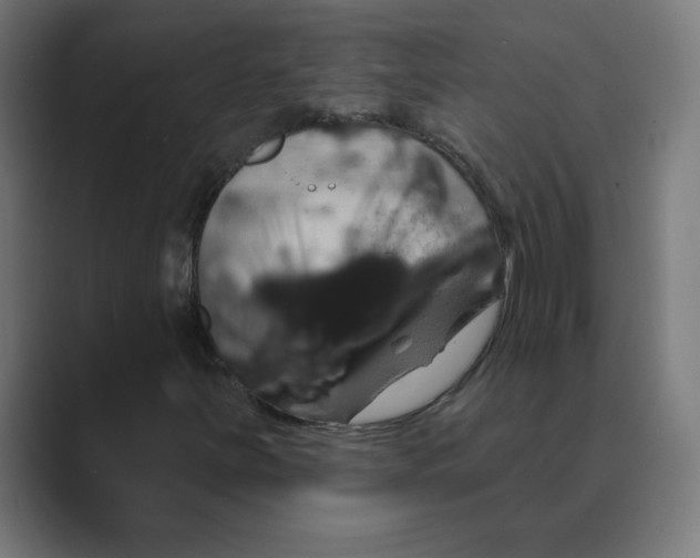 X0000088471251200706191341