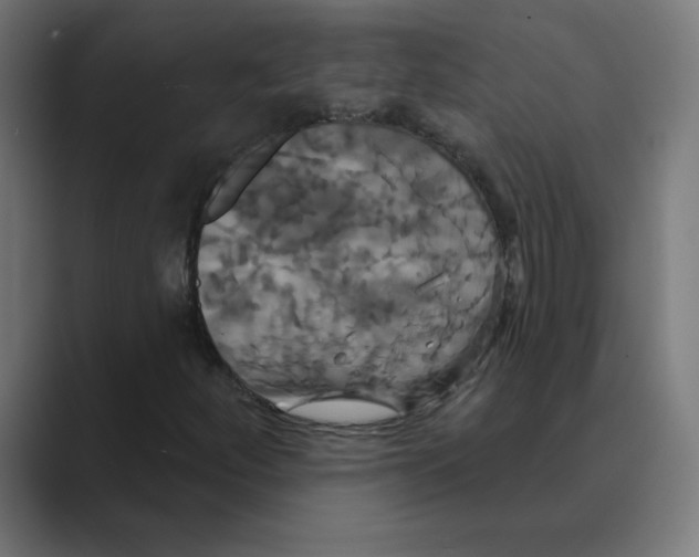 X0000088471252200706191341