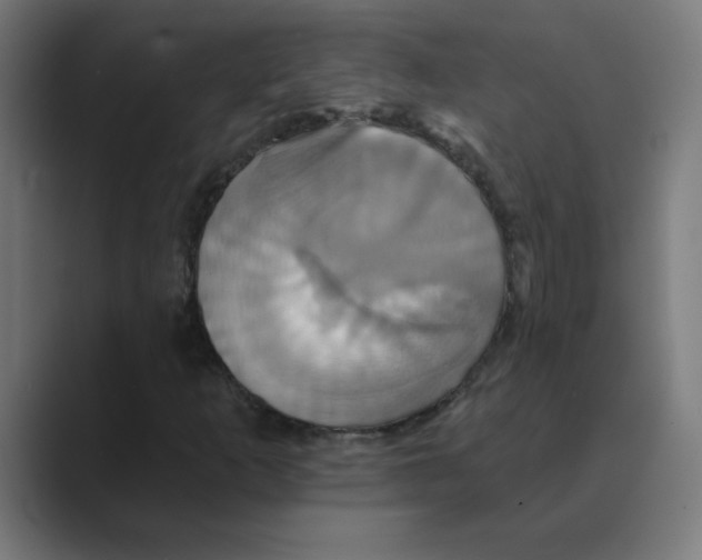 X0000088471253200706191341