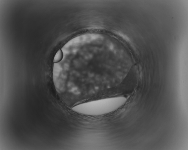 X0000088471255200706191341