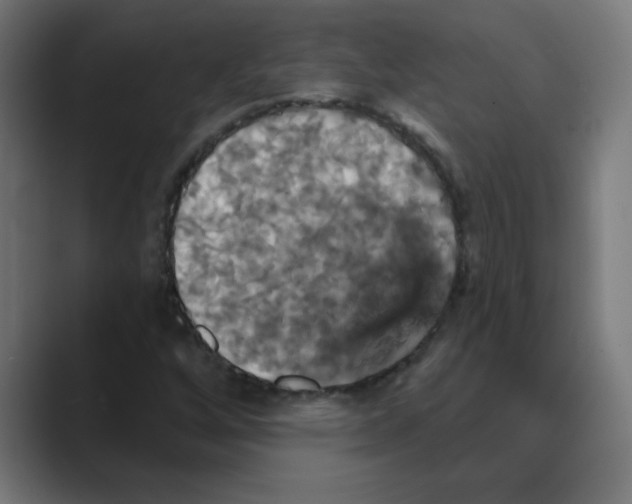 X0000088471256200706191341