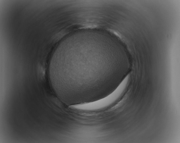 X0000088471257200706191341