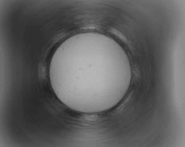 X0000088471258200706191341