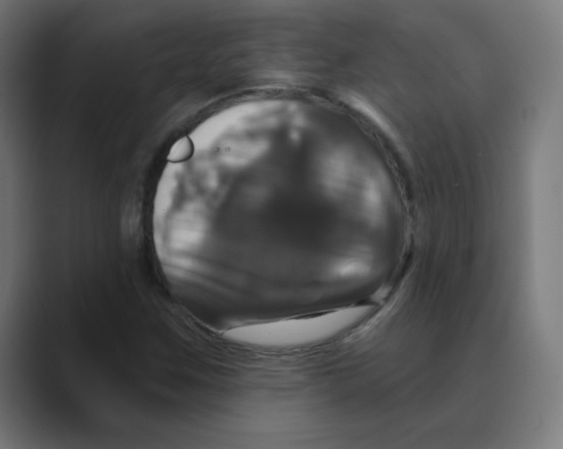 X0000088471259200706191341