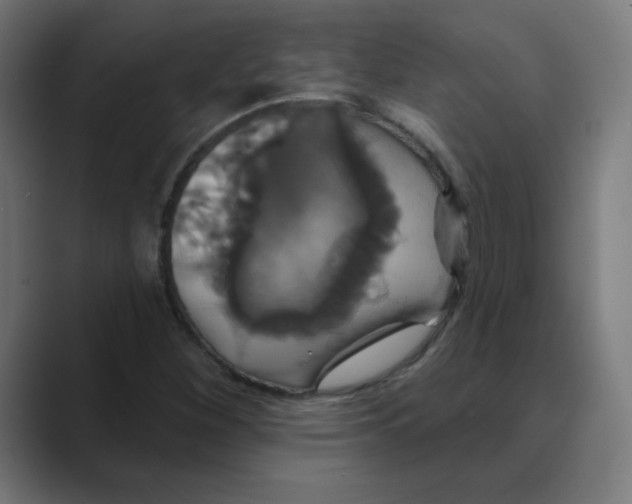 X0000088471260200706191341