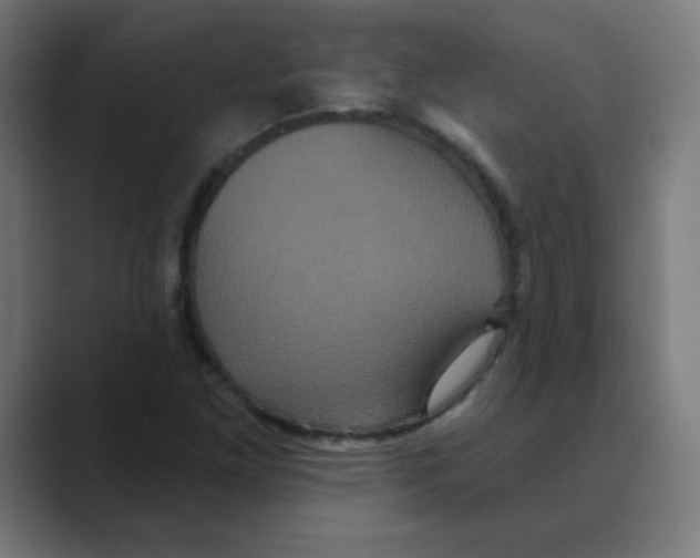 X0000088471261200706191341