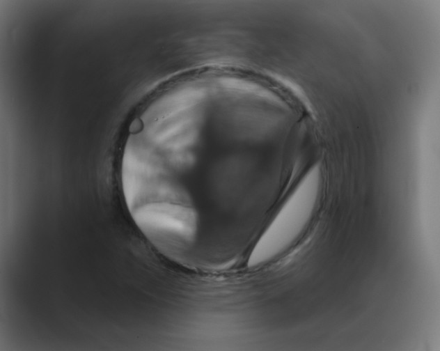 X0000088471263200706191341