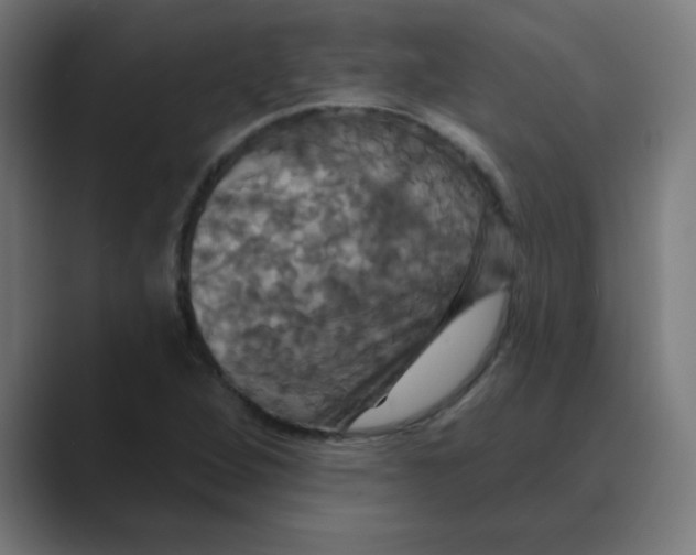 X0000088471264200706191341