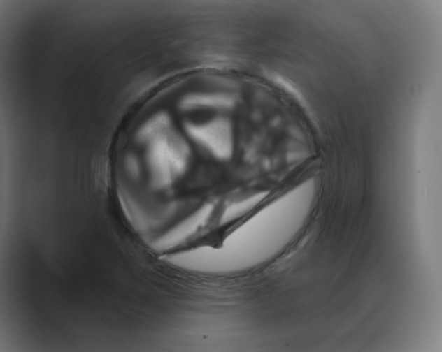 X0000088471267200706191341