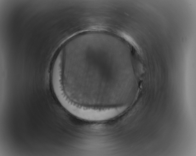 X0000088471268200706191341