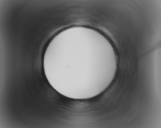 X0000088471270200706191341