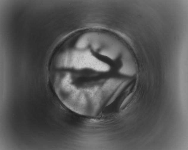 X0000088471271200706191341