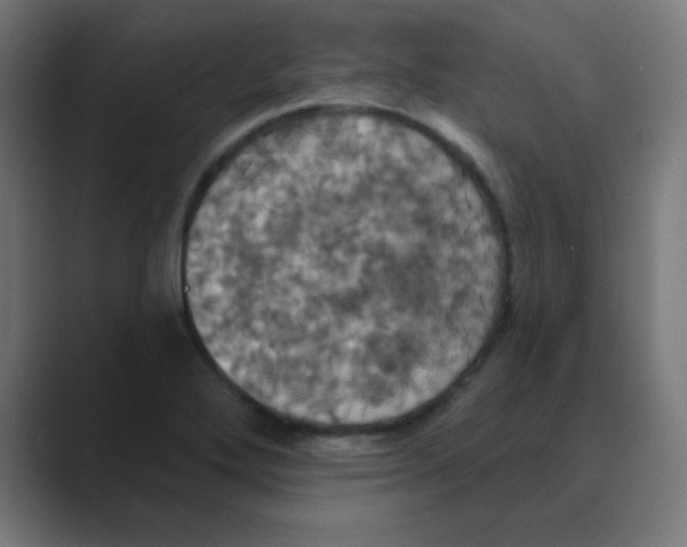 X0000088471272200706191341