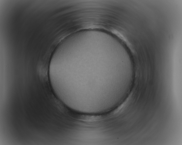 X0000088471273200706191341