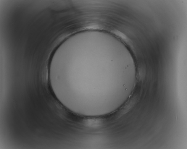 X0000088471274200706191341