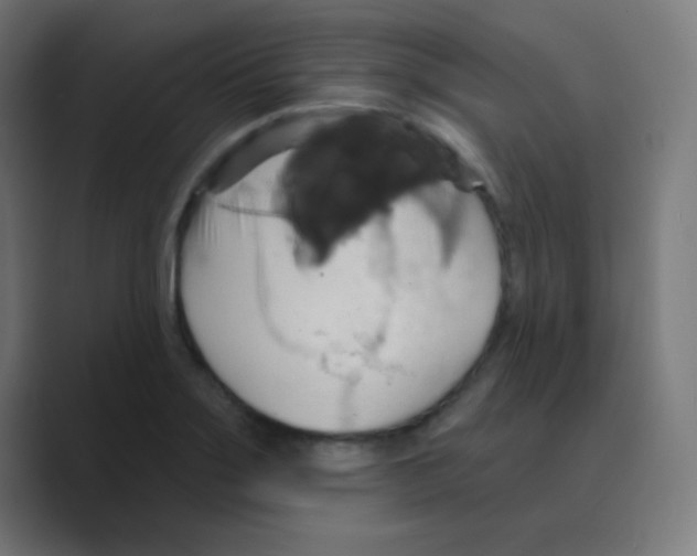 X0000088471275200706191341