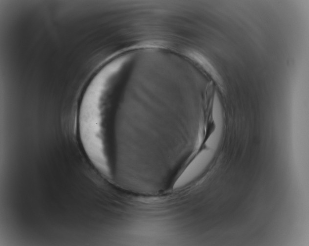 X0000088471276200706191341