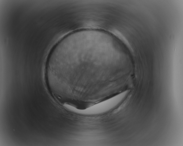 X0000088471277200706191341