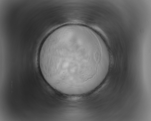 X0000088471278200706191341