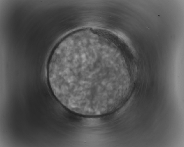 X0000088471280200706191341