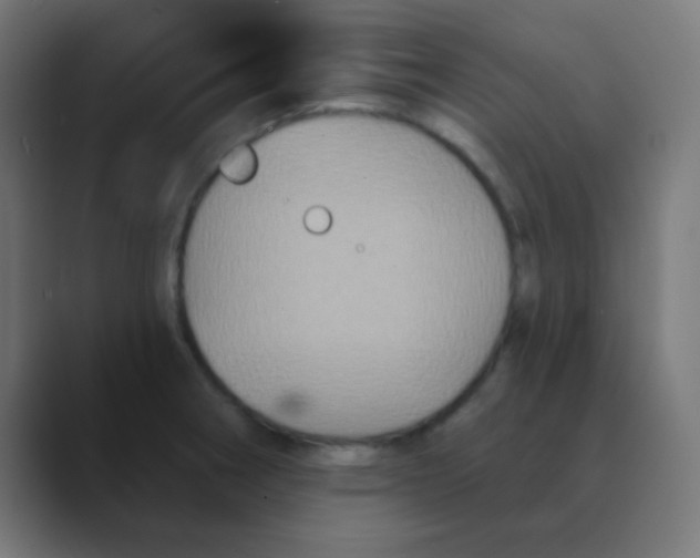 X0000088471282200706191341