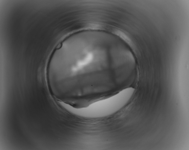 X0000088471283200706191341