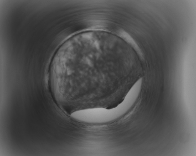 X0000088471284200706191341