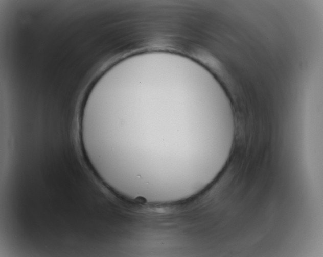 X0000088471286200706191341