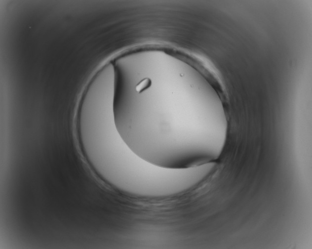 X0000088471287200706191341