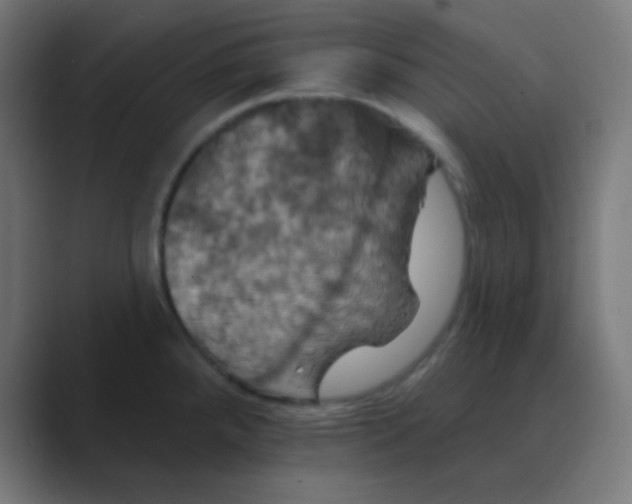 X0000088471288200706191341