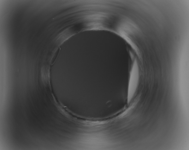 X0000088471289200706191341