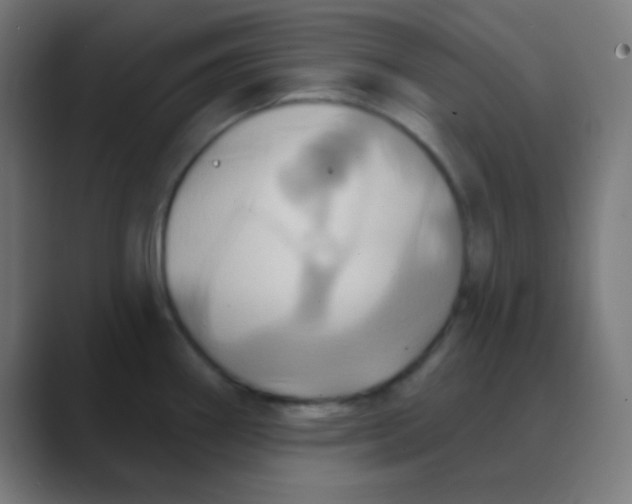 X0000088471290200706191341