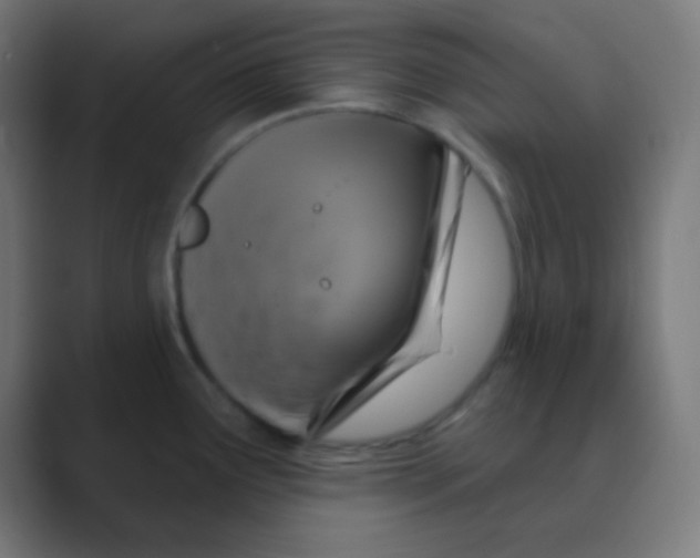 X0000088471291200706191341