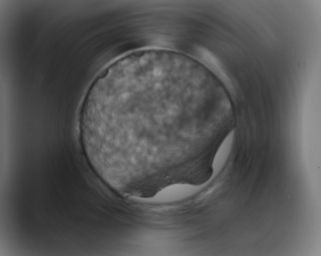 X0000088471292200706191341