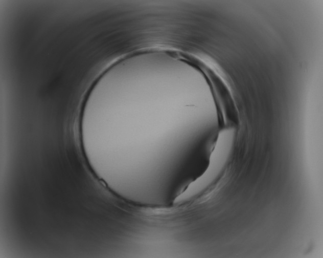 X0000088471293200706191341