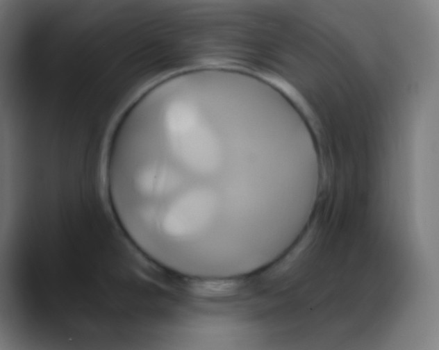 X0000088471294200706191341