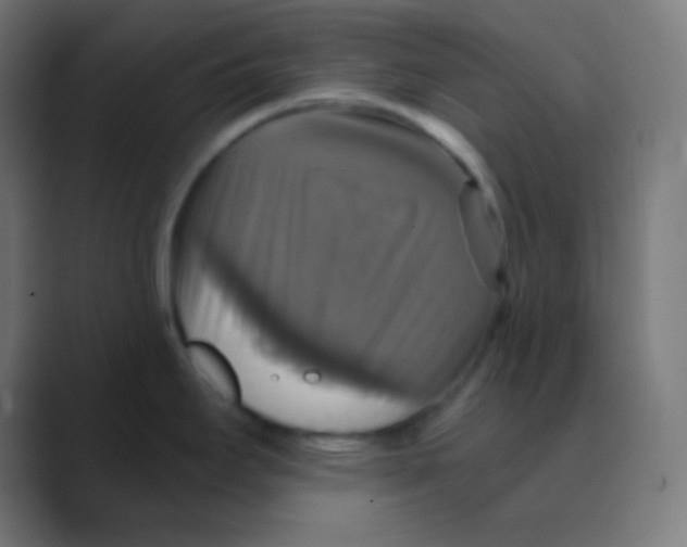 X0000088471295200706191341