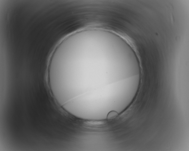 X0000088471296200706191341